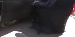 Masriya Gamda Porn Videos