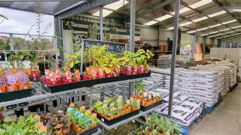 Diaco S Garden Nursery Geelong Whatsbest Australia