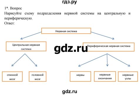ГДЗ глава 10 / §46 1 биология 8 класс Драгомилов, Маш