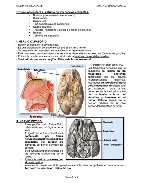 SOLUTION 8 Nervios Craneales Studypool