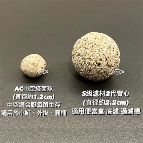 正版公司貨【ac 中空培菌球 陶瓷珠 石英球 濾材 多孔隙 陶瓷生物球 呼吸濾材 100g1kg】培菌球 蝦皮購物