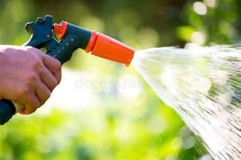 Hose Garden Sprinkler in Woman Hand Stock Photo - Image of sprinkler ...