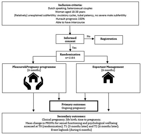 The ‘Pleasure&Pregnancy’ web-based interactive educational programme
