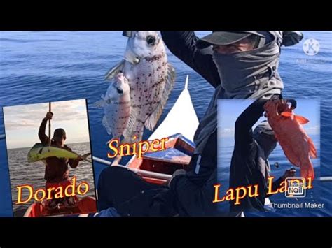 Pamamaraan Ng Panghuhuli Ng Isda Dorado Lapu Lapu Sniper Part