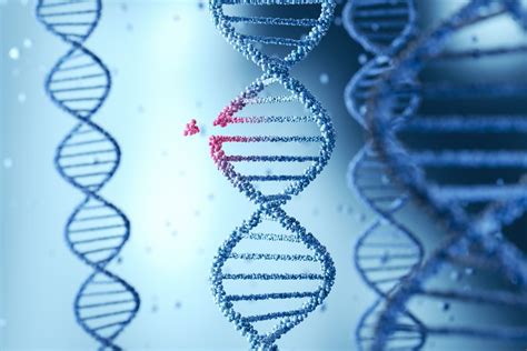 Prime Editing Corrects The Cftr Gene Mutation