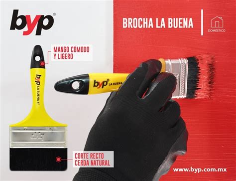 Brocha Byp La Buena 6 Pulgadas Pintura Cerda Natural Cómoda Mercado Libre