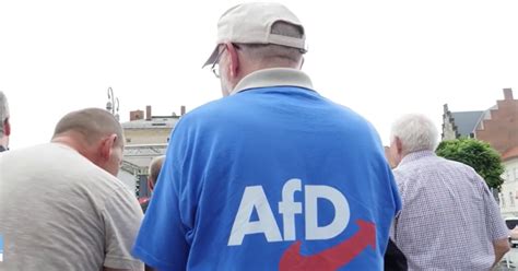 Studie zeigt welche Menschen AfD wählen GMX