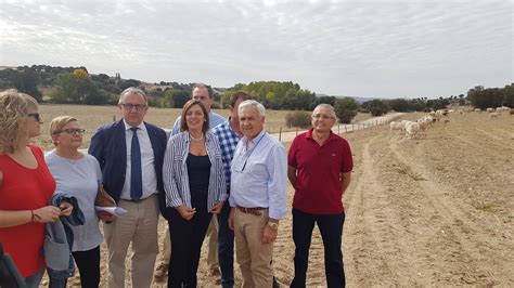 El Vacuno De Carne De Castilla Y Le N Debe Dar Un Paso M S Y Cerrar El