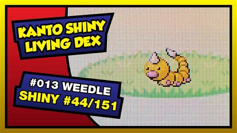 Live Shiny Weedle After 13992 Encounters Kanto Shiny Living Dex