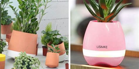 15 Stylish Indoor Flower Pots Affordable Indoor Pots For Your Plants