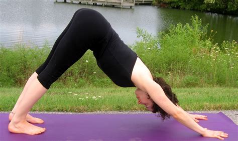 Downward Facing Dog (Adho Mukha Svanasana) Yoga Pose