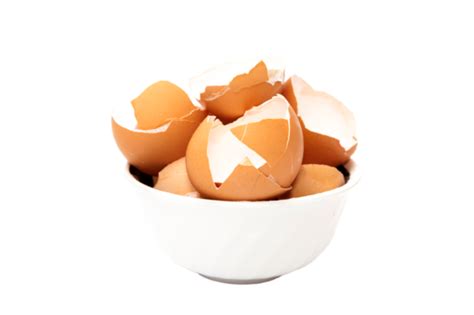 Bowl With Broken Egg Empty Egg Shell Nutritious Eggshell PNG