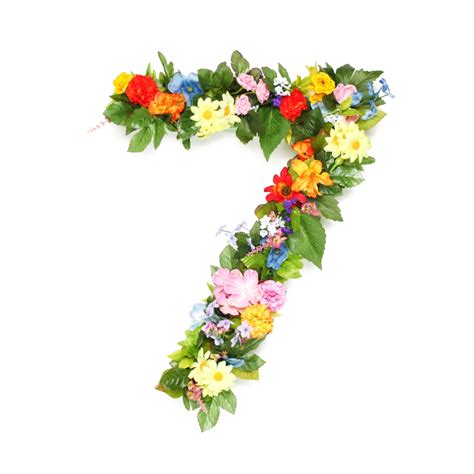 Flower Number 7 Png