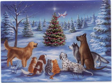 Animas With Bird Decorating Christmas Tree Greeting Card Christmas