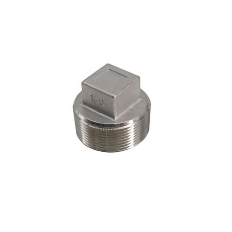 Guardian In Stainless Steel Psi Threaded Square Head Plug