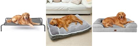 top  dog beds  gsds reviews buyers guide insights