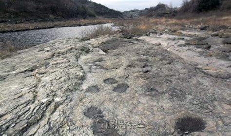 진주 공룡발자국 화석산지 훼손 심각