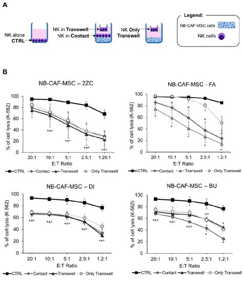 Evaluation Of NK Cell Cytotoxic Activity After Co Culture With Primary