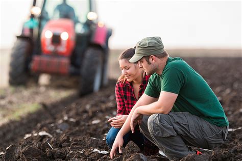 Ayudas Para A La Primera Instalaci N De Agricultores J Venes