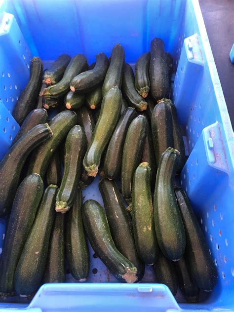 Goetsch’s Fresh Fruits... - Goetsch’s Fresh Fruits & Veggies