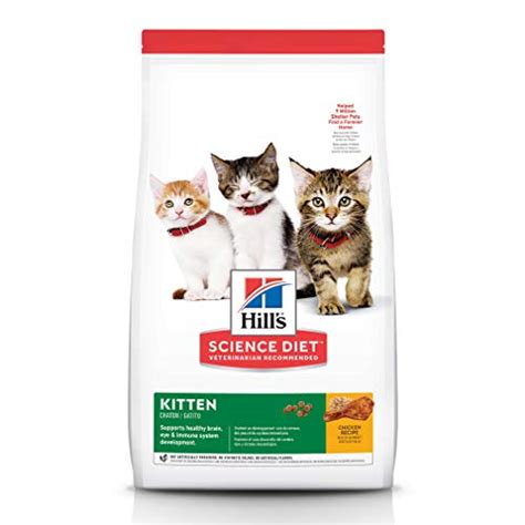 19 Best Kitten Food Reviews & Guide - 2023 Edition - Animal Corner