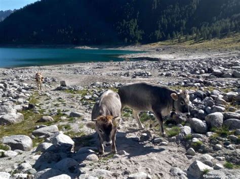 Vacanza In Valle Aurina E Val Pusteria Per Famiglie Parchi In Quota