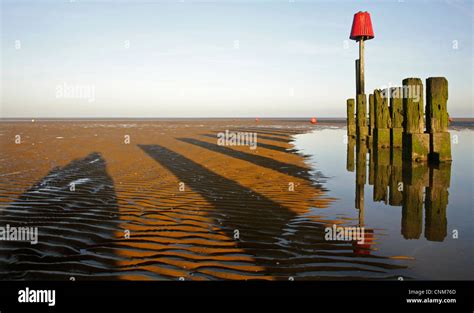 Timber Sea Defence Groyne At Low Tide Cleethorpes Beach Stock Photo