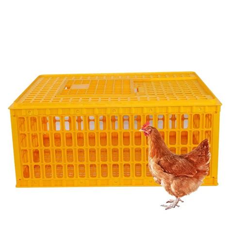 Plastic Small Folding Chicken Cooppoultry Transport Cage Priceplastic