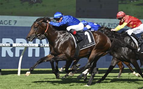 Finalists unveiled for Australian Racehorse of the Year 2022/2023