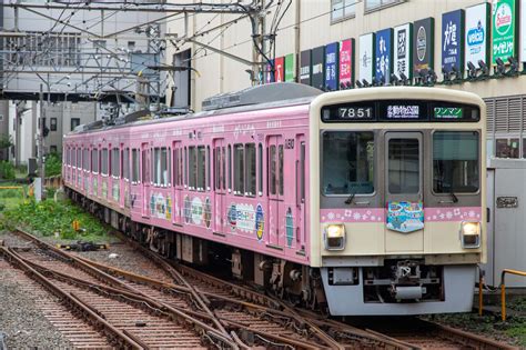 京王電鉄 7000系 7801f 動物園線仕様 「キッズパークたまどうとれいん」 おでかけライフ