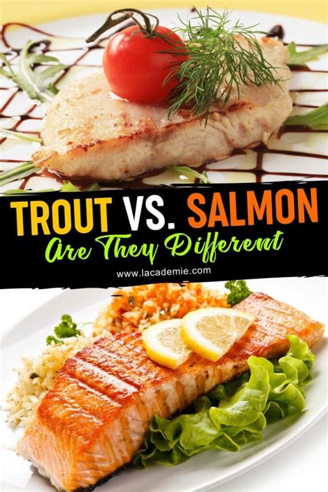 Trout Vs Salmon Are They Different