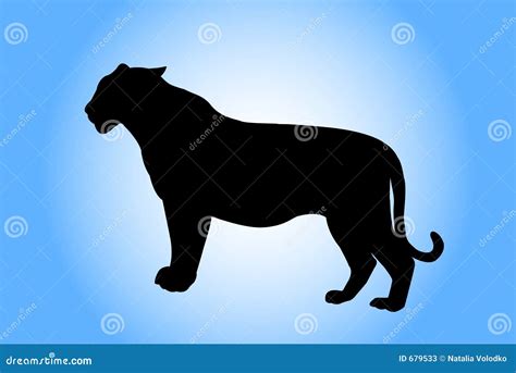 Tiger silhouette stock illustration. Image of illustrate - 679533