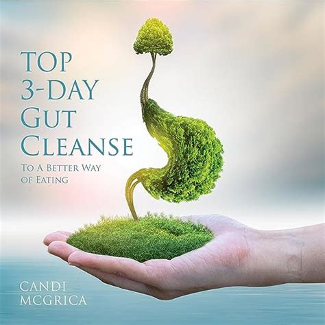 Top 3 Day Gut Cleanse Audiobook Free With Trial