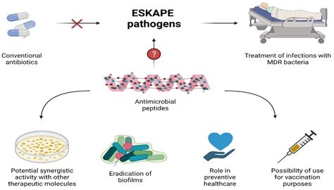 Antimicrobial Peptides: A Potent Alternative to Antibiotics