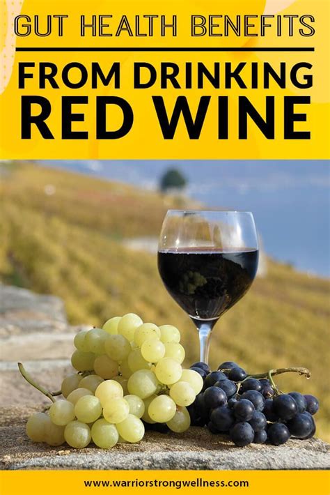 Gut Health Benefits from Drinking Red Wine | Red wine benefits, Wine ...