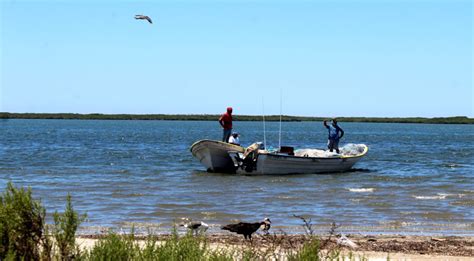 Está abierta la ventanilla del programa Seguro de Vida a Pescadores y