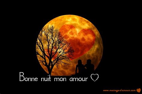 Sms D Amour Bonne Nuit Pdf