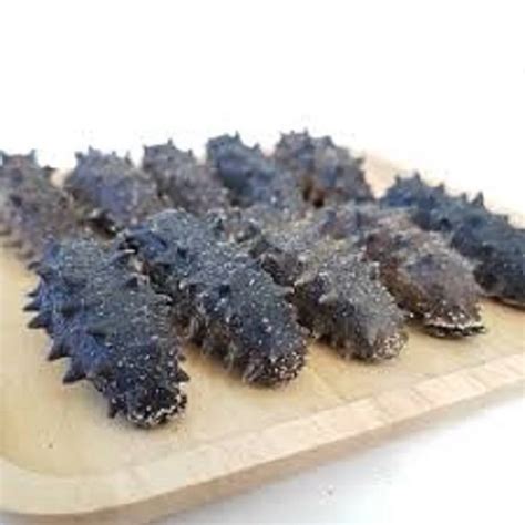 Wholesale Price Dried Sea Cucumber Buyers Worldwide Buy Dried Sea