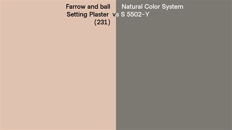 Farrow And Ball Setting Plaster 231 Vs Natural Color System S 5502 Y Side By Side Comparison