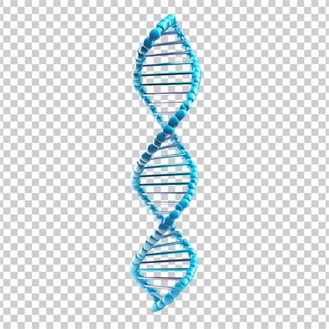 Premium Psd D Blue Dna Helix Sequence Element Isolated On A