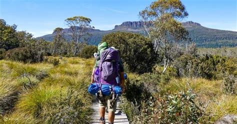 Cradle Mountain Overland Track Trekking Tour From Launceston Klook