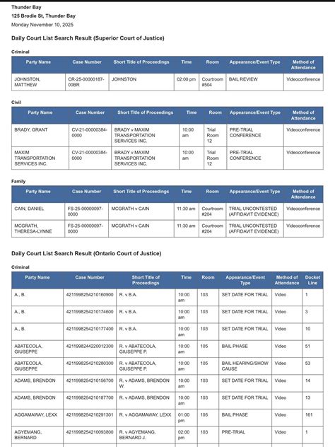 Accessing Official Court Dockets on the Register of Actions 3