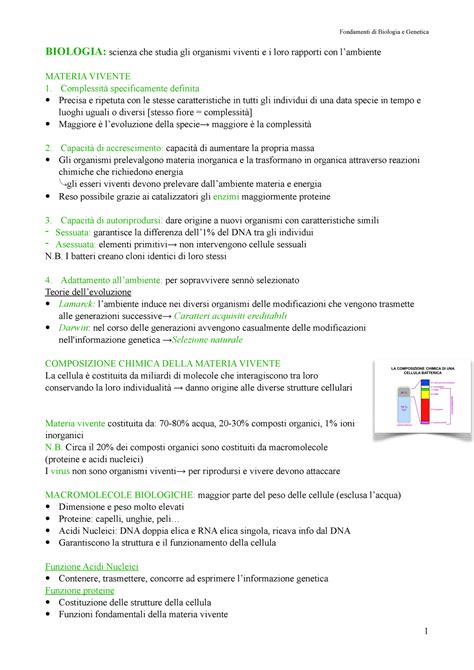 1 BASI DI Biologia Fondamenti Di Biologia E Genetica BIOLOGIA