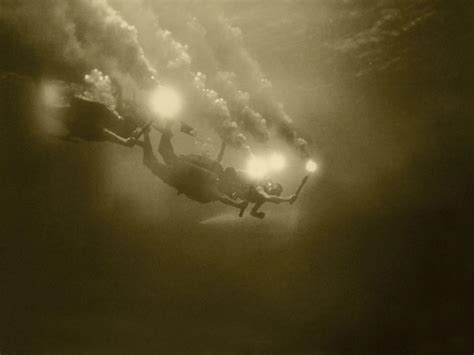 Padi Encyclopedia Of Recreational Diving 4