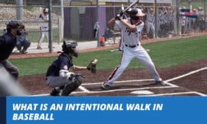 The Ibb In Baseball What Is An Intentional Walk And How It Changes The Game