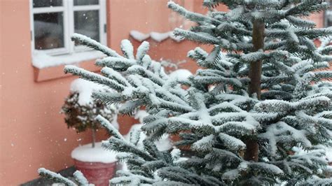 Wei E Weihnachten Wetter Experten Machen Hoffnung