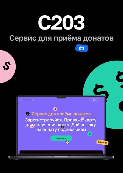Студенческое портфолио / Платежная система С203