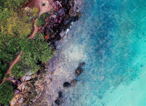 premium photo beautiful nature scenery natural sea landscape travel