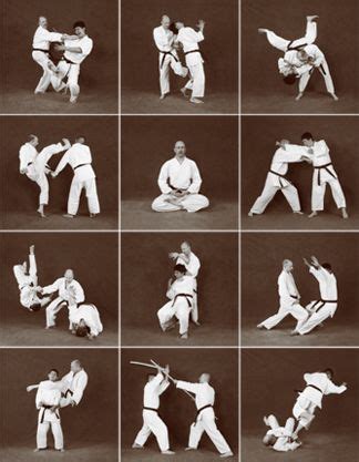 FAQ, What is Hapkido? | Martial arts, Hapkido, Martial arts forms