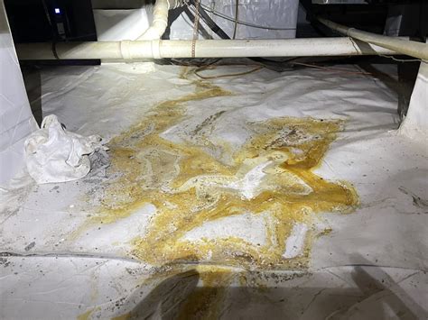 Sneaky leaks in the crawl space